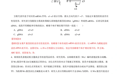 第十二单元发酵工程（B卷能力提升练）-2023年高考生物一轮复习单元滚动双测卷（新高考专用）（解析版）_新高考复习资料_2023年新高考复习资料_一轮复习