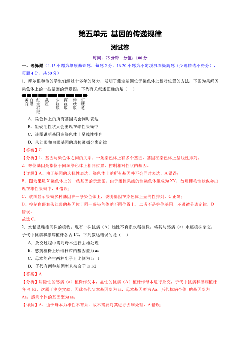 第五单元基因的传递规律（测试）（解析版）_2025年新高考资料_一轮复习_2025年高考生物一轮复习讲练测（新教材新高考）