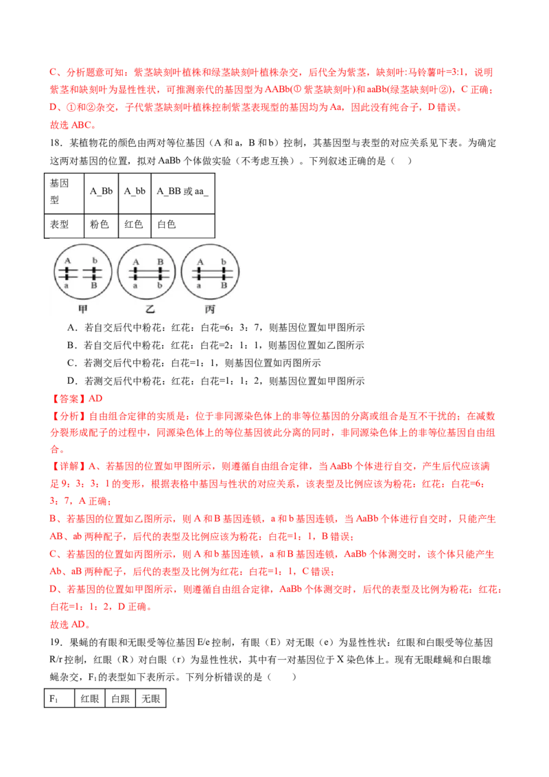 第五单元基因的传递规律（测试）（解析版）_2025年新高考资料_一轮复习_2025年高考生物一轮复习讲练测（新教材新高考）