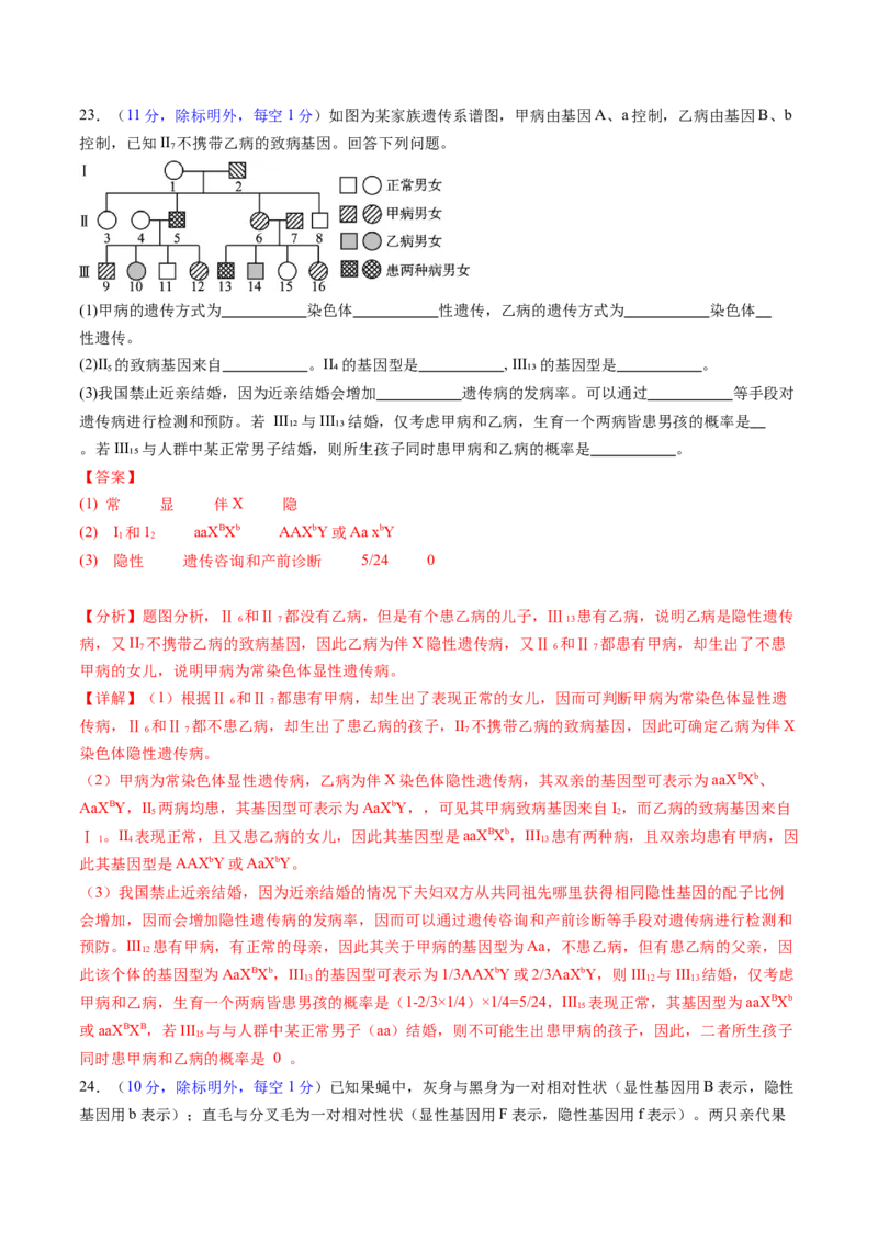 第五单元基因的传递规律（测试）（解析版）_2025年新高考资料_一轮复习_2025年高考生物一轮复习讲练测（新教材新高考）