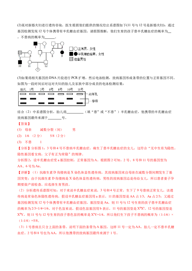 第五单元基因的传递规律（测试）（解析版）_2025年新高考资料_一轮复习_2025年高考生物一轮复习讲练测（新教材新高考）