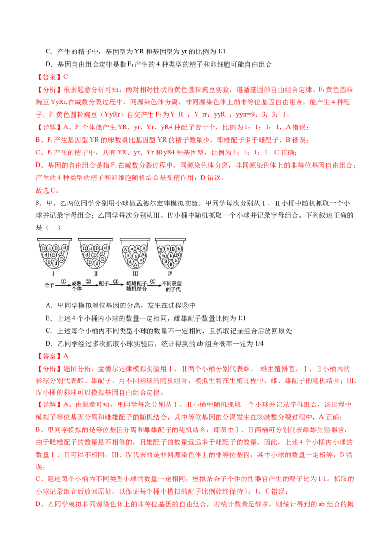 第五单元基因的传递规律（测试）（解析版）_2025年新高考资料_一轮复习_2025年高考生物一轮复习讲练测（新教材新高考）