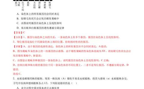 第五单元基因的传递规律（测试）（解析版）_2025年新高考资料_一轮复习_2025年高考生物一轮复习讲练测（新教材新高考）