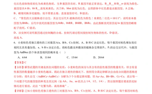 第五单元基因的传递规律（测试）（解析版）_2025年新高考资料_一轮复习_2025年高考生物一轮复习讲练测（新教材新高考）