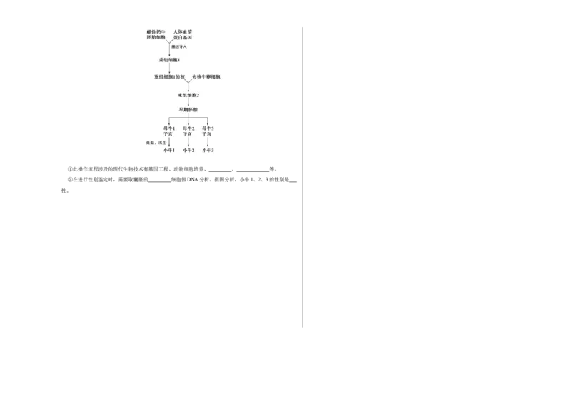 第十三单元细胞工程（B卷能力提升练）-2023年高考生物一轮复习单元滚动双测卷（新高考专用）（考试版）_新高考复习资料_2023年新高考复习资料_一轮复习