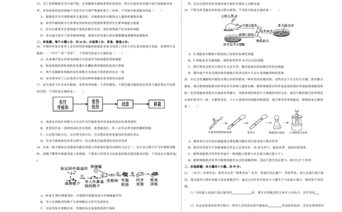 第十三单元细胞工程（B卷能力提升练）-2023年高考生物一轮复习单元滚动双测卷（新高考专用）（考试版）_新高考复习资料_2023年新高考复习资料_一轮复习