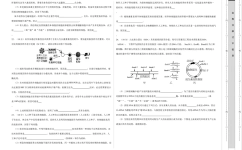 第十三单元细胞工程（B卷能力提升练）-2023年高考生物一轮复习单元滚动双测卷（新高考专用）（考试版）_新高考复习资料_2023年新高考复习资料_一轮复习
