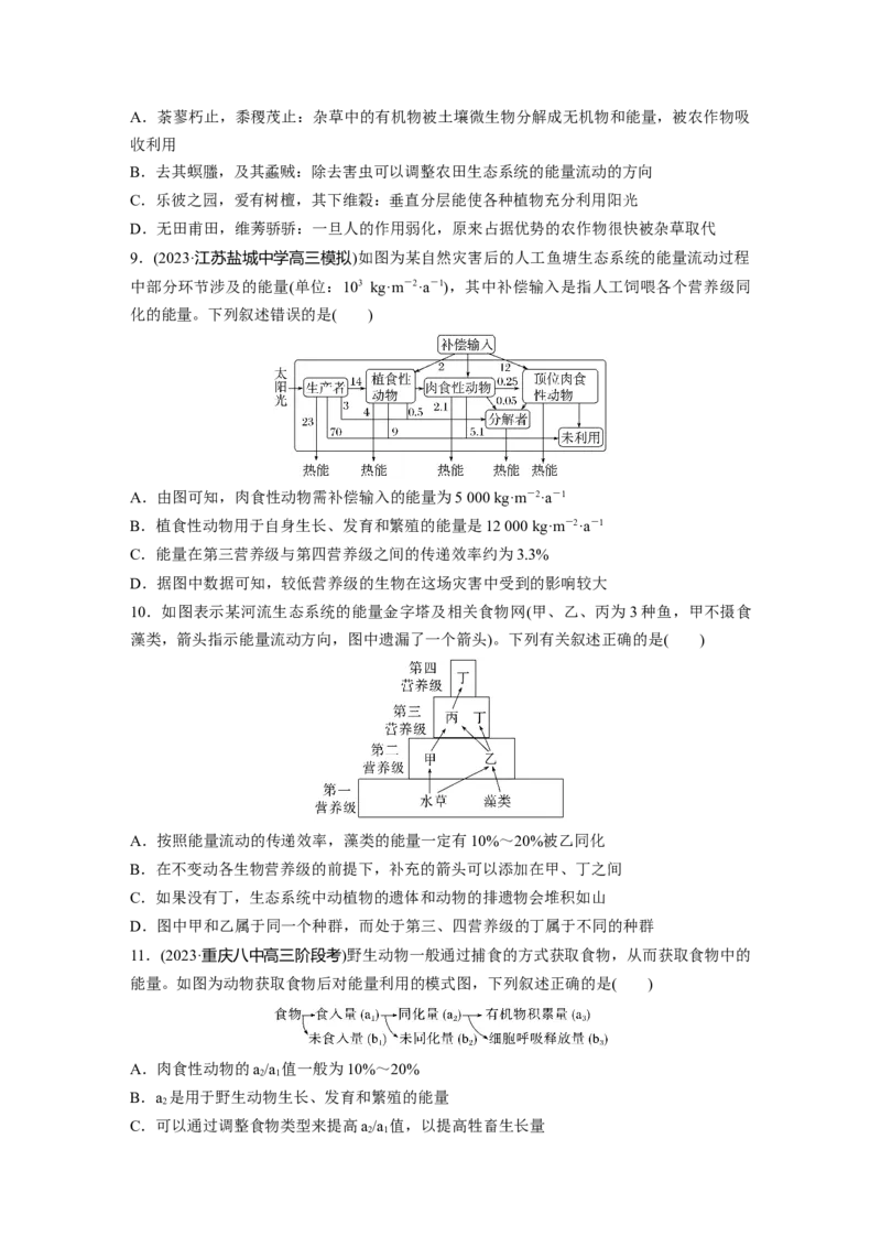 第九单元　课时练52　生态系统的能量流动_2025年新高考资料_一轮复习_2025大一轮复习讲义+课件（完结）_2025大一轮复习讲义生物学生用书Word版文档整书_2025一轮复习73练