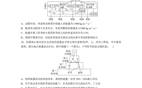 第九单元　课时练52　生态系统的能量流动_2025年新高考资料_一轮复习_2025大一轮复习讲义+课件（完结）_2025大一轮复习讲义生物学生用书Word版文档整书_2025一轮复习73练