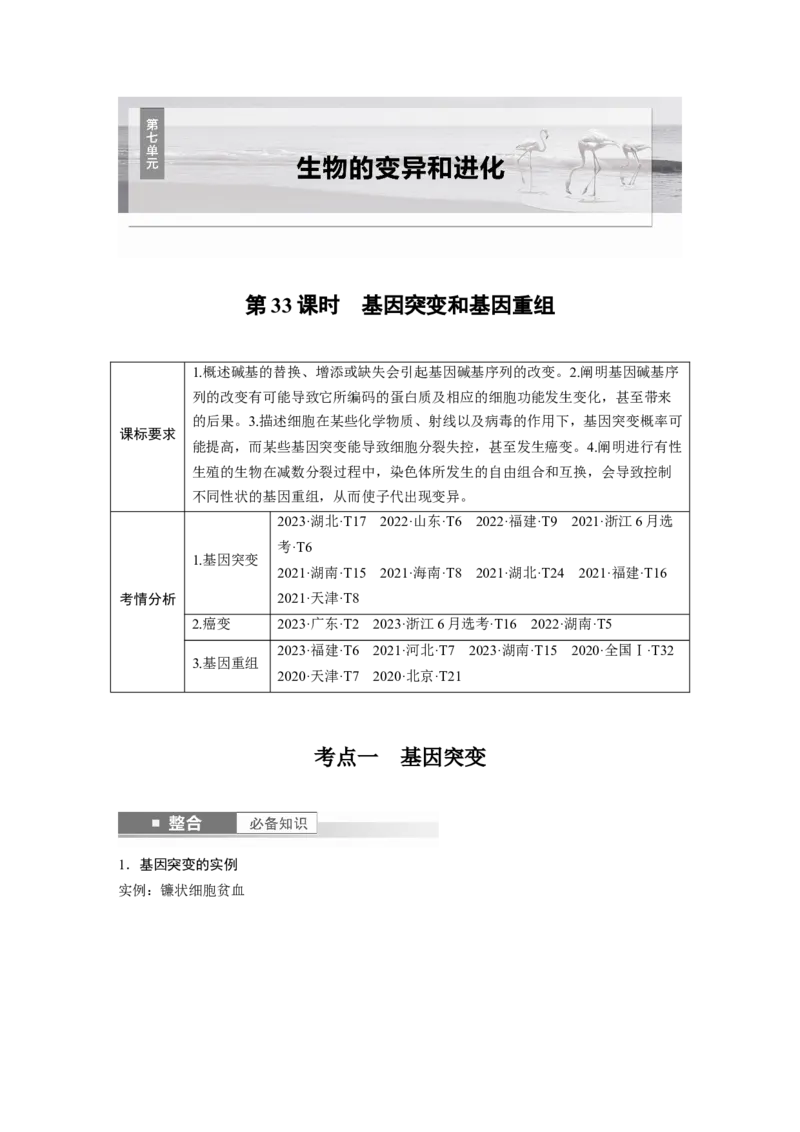 第七单元　第33课时　基因突变和基因重组_2025年新高考资料_一轮复习_2025大一轮复习讲义+课件（完结）_2025大一轮复习讲义生物学生用书Word版文档整书_2025大一轮复习讲义
