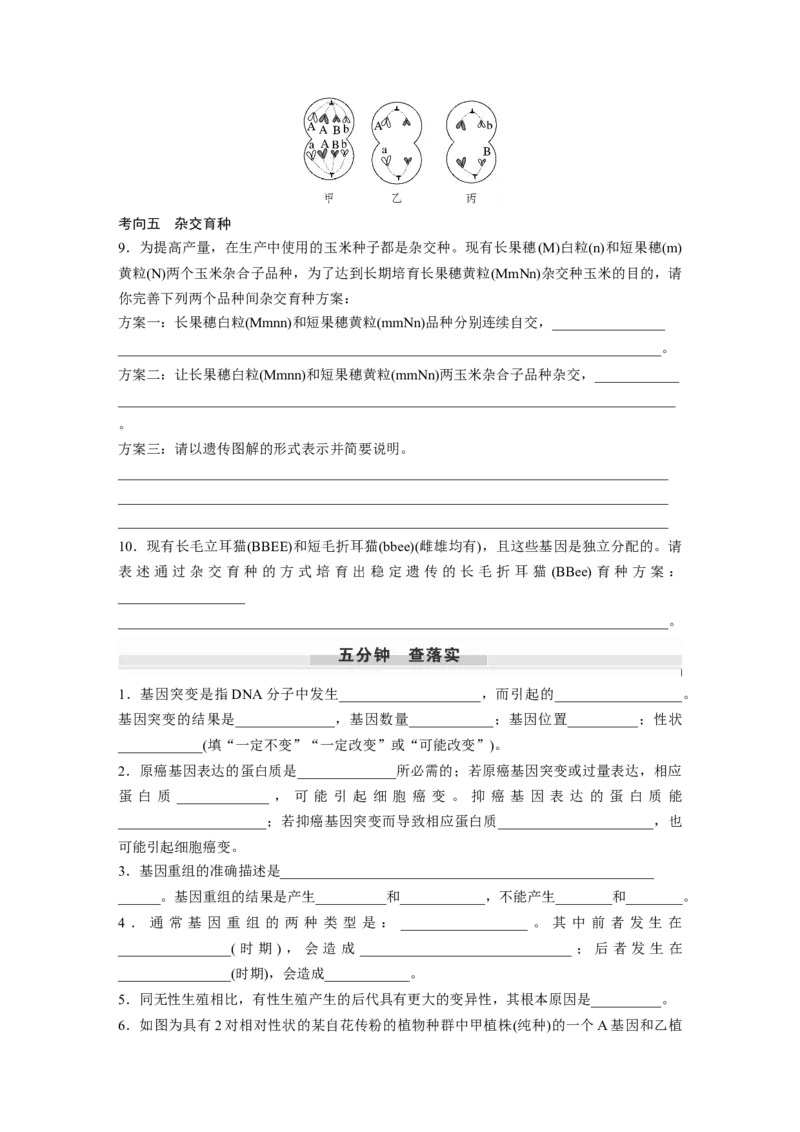第七单元　第33课时　基因突变和基因重组_2025年新高考资料_一轮复习_2025大一轮复习讲义+课件（完结）_2025大一轮复习讲义生物学生用书Word版文档整书_2025大一轮复习讲义
