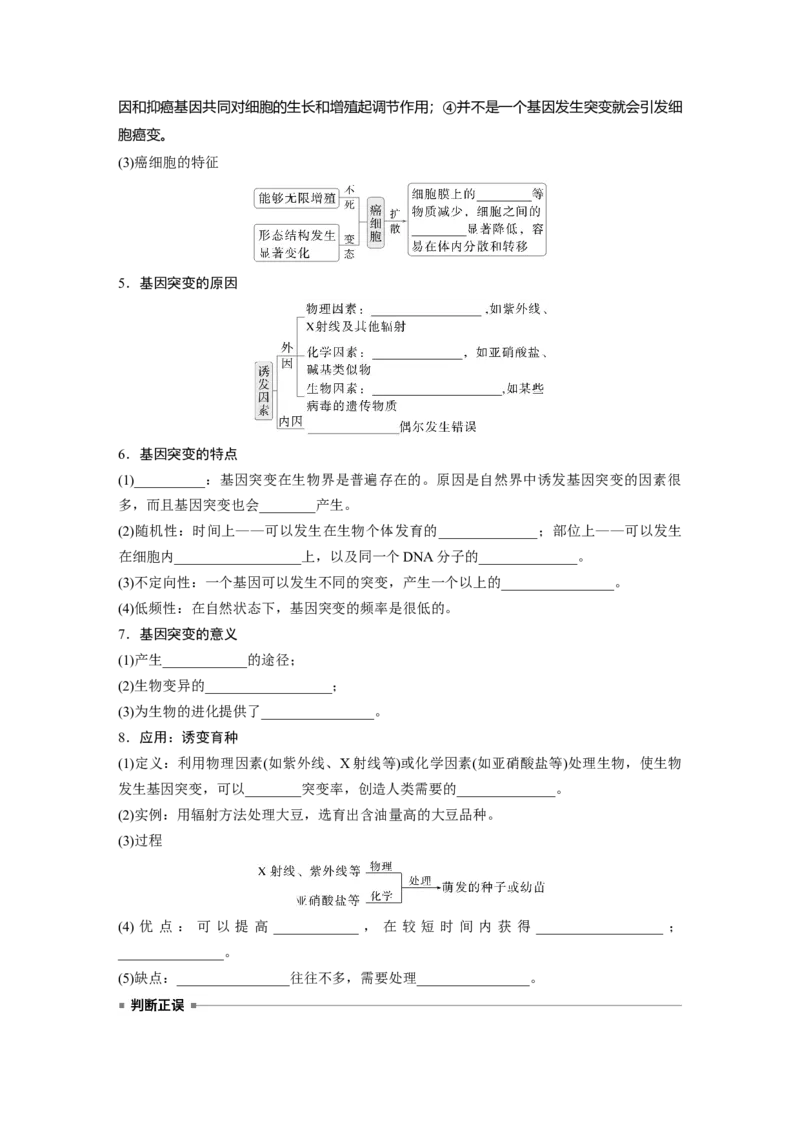 第七单元　第33课时　基因突变和基因重组_2025年新高考资料_一轮复习_2025大一轮复习讲义+课件（完结）_2025大一轮复习讲义生物学生用书Word版文档整书_2025大一轮复习讲义