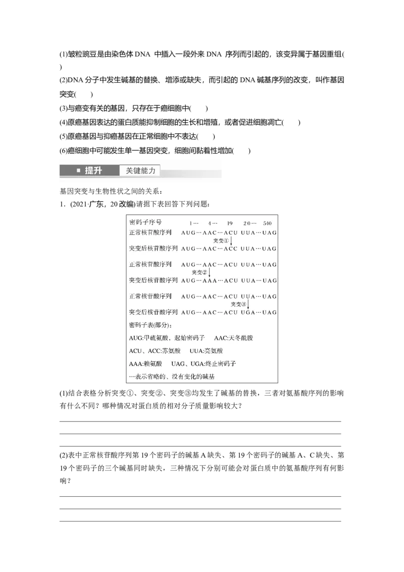 第七单元　第33课时　基因突变和基因重组_2025年新高考资料_一轮复习_2025大一轮复习讲义+课件（完结）_2025大一轮复习讲义生物学生用书Word版文档整书_2025大一轮复习讲义
