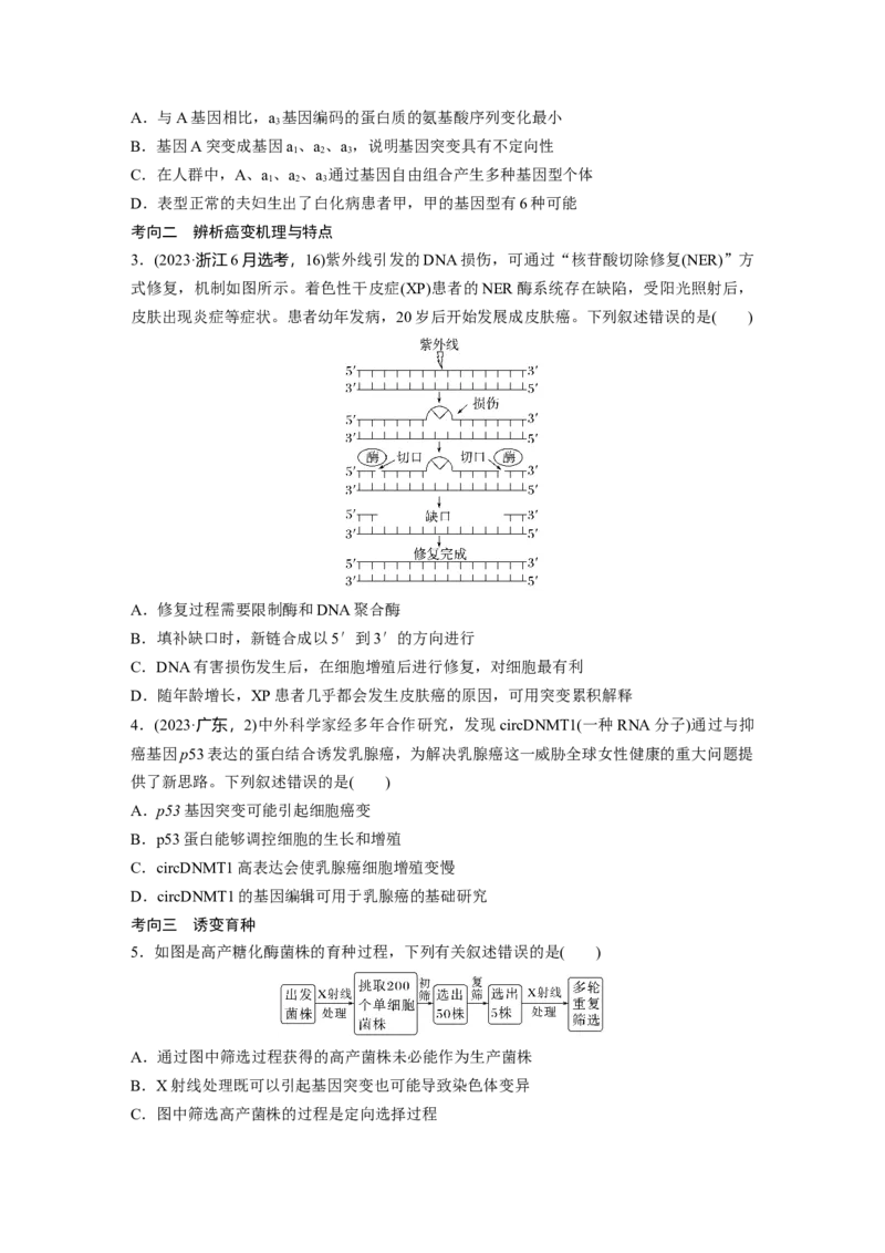 第七单元　第33课时　基因突变和基因重组_2025年新高考资料_一轮复习_2025大一轮复习讲义+课件（完结）_2025大一轮复习讲义生物学生用书Word版文档整书_2025大一轮复习讲义