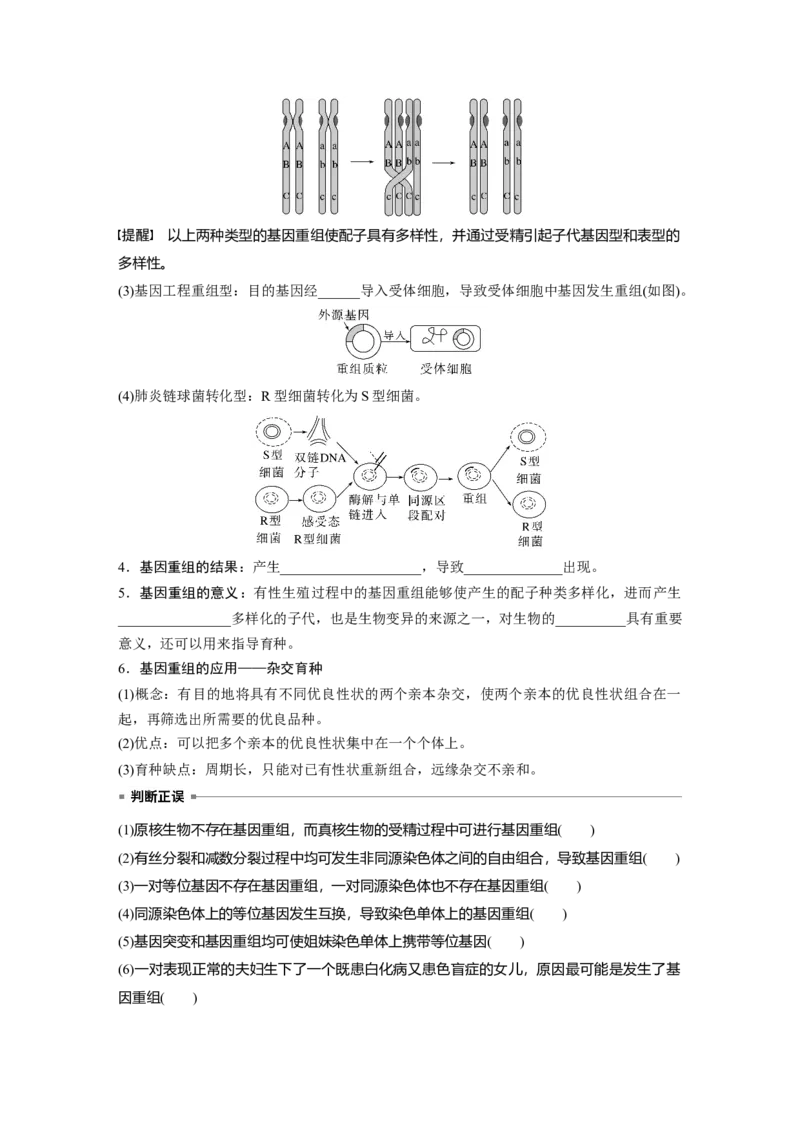 第七单元　第33课时　基因突变和基因重组_2025年新高考资料_一轮复习_2025大一轮复习讲义+课件（完结）_2025大一轮复习讲义生物学生用书Word版文档整书_2025大一轮复习讲义