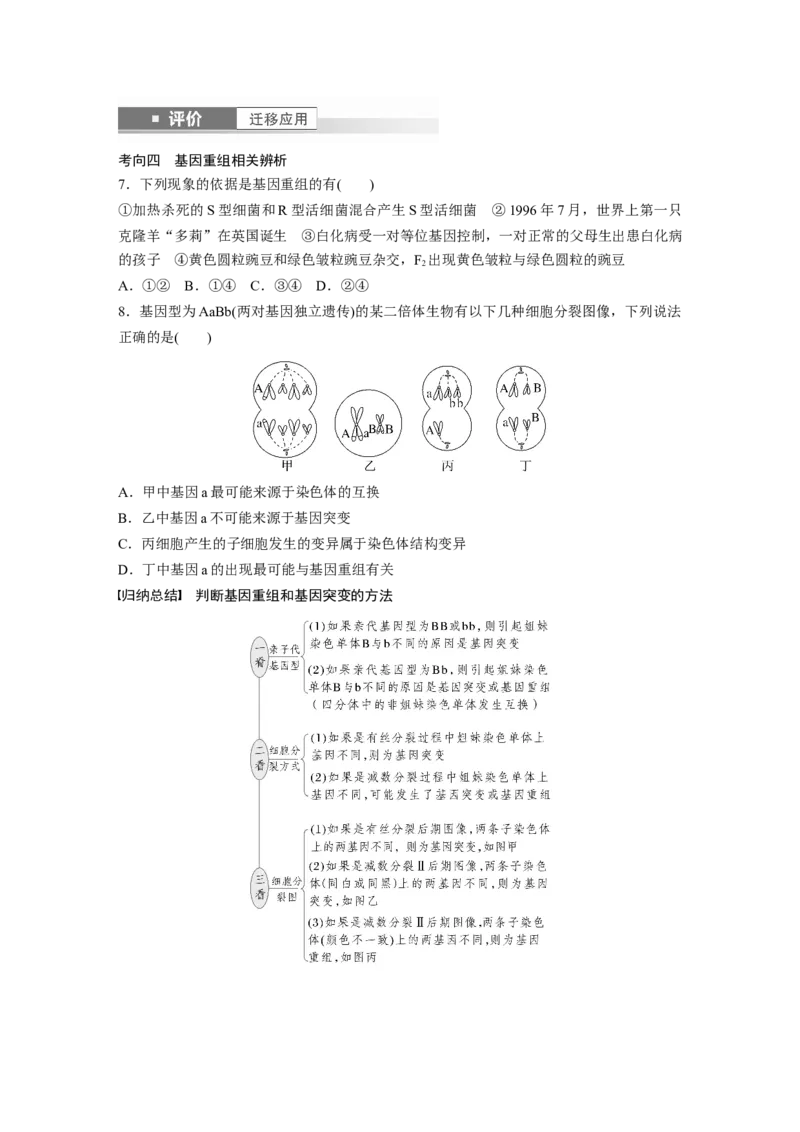 第七单元　第33课时　基因突变和基因重组_2025年新高考资料_一轮复习_2025大一轮复习讲义+课件（完结）_2025大一轮复习讲义生物学生用书Word版文档整书_2025大一轮复习讲义