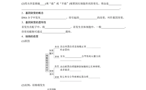 第七单元　第33课时　基因突变和基因重组_2025年新高考资料_一轮复习_2025大一轮复习讲义+课件（完结）_2025大一轮复习讲义生物学生用书Word版文档整书_2025大一轮复习讲义