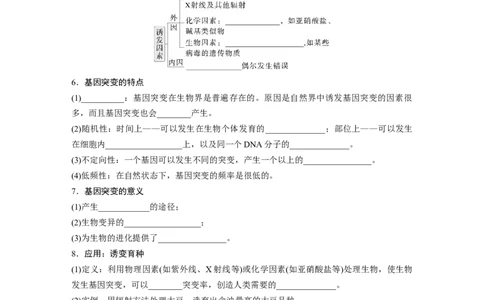第七单元　第33课时　基因突变和基因重组_2025年新高考资料_一轮复习_2025大一轮复习讲义+课件（完结）_2025大一轮复习讲义生物学生用书Word版文档整书_2025大一轮复习讲义