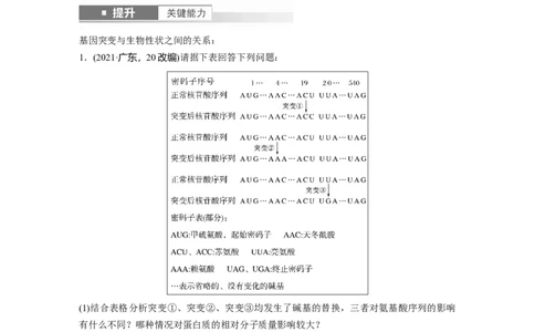第七单元　第33课时　基因突变和基因重组_2025年新高考资料_一轮复习_2025大一轮复习讲义+课件（完结）_2025大一轮复习讲义生物学生用书Word版文档整书_2025大一轮复习讲义