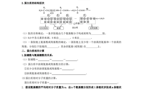 第6讲蛋白质是生命活动的主要承担者-精准备考备战2023年高考生物一轮复习精品讲义（生物学必修1）（原卷版）_通用版（老高考）复习资料_2023年复习资料_一轮复习
