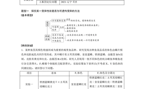 第七单元　专题突破9　聚焦变异热点题型_2025年新高考资料_一轮复习_2025大一轮复习讲义+课件（完结）_2025大一轮复习讲义生物学生用书Word版文档整书_2025大一轮复习讲义