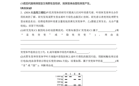 第七单元　专题突破9　聚焦变异热点题型_2025年新高考资料_一轮复习_2025大一轮复习讲义+课件（完结）_2025大一轮复习讲义生物学生用书Word版文档整书_2025大一轮复习讲义