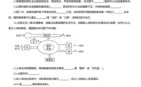 2026年中考生物复习专题练习：专题二十内分泌系统和生殖系统（含答案）_6生物中考复习_2026年中考复习（更新中）_2026年中考生物一轮复习专题练习（含答案）