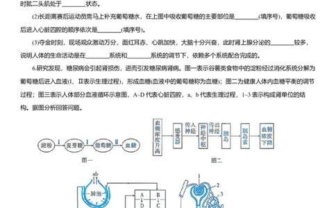 2026年中考生物复习专题练习：专题二十内分泌系统和生殖系统（含答案）_6生物中考复习_2026年中考复习（更新中）_2026年中考生物一轮复习专题练习（含答案）
