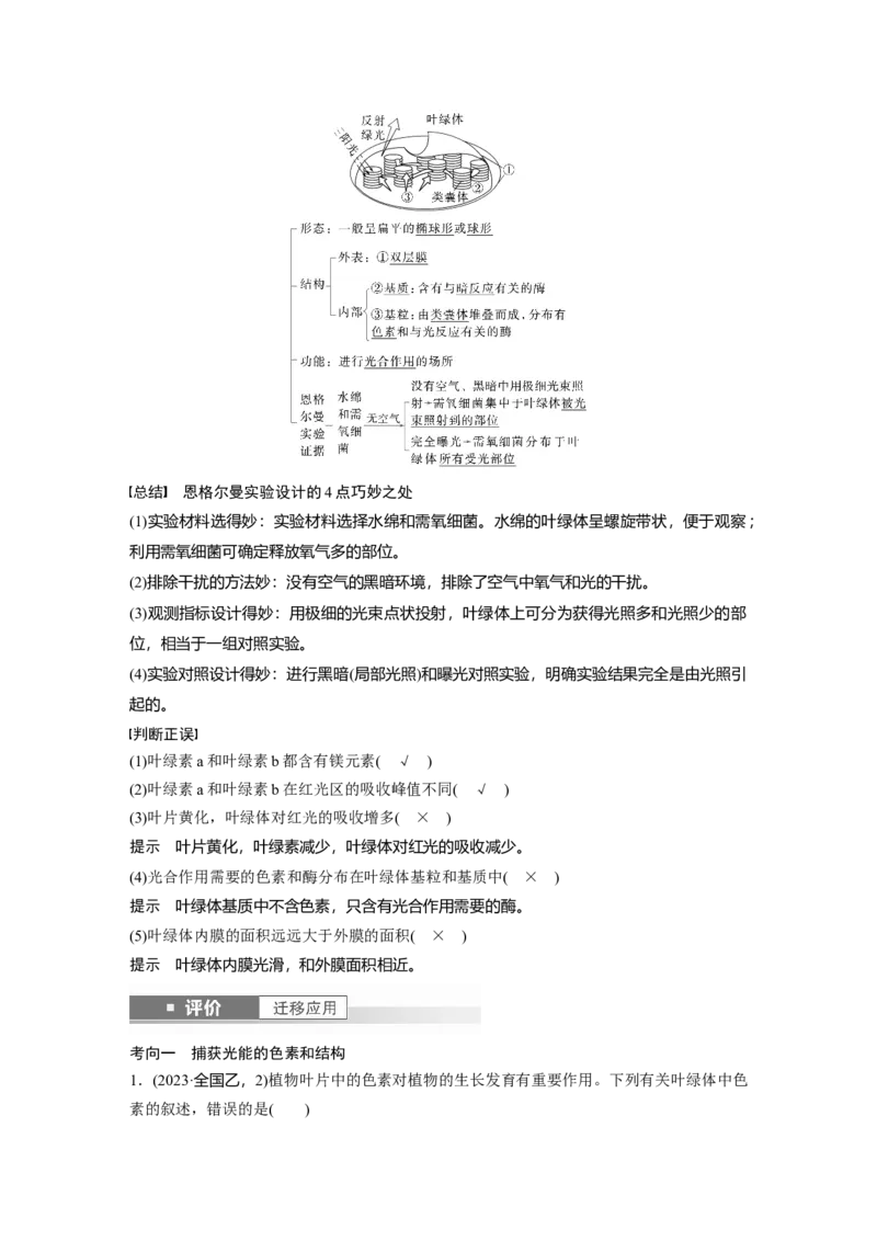 第三单元　第15课时　捕获光能的色素和结构及光合作用原理的探索_新高考复习资料_2025年新高考资料_2025新高考一轮复习生物_2025大一轮复习讲义生物人教版教师用书Word版文档整书