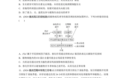 第八单元　课时练46　植物生长调节剂的应用及环境因素参与调节植物的生命活动_2025年新高考资料_一轮复习_2025大一轮复习讲义+课件（完结）_2025一轮复习73练