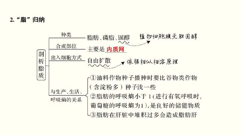 第一单元细胞的组成与结构（教案）_新高考复习资料_2022年新高考复习资料_2022届一轮复习讲练结合7.13更新_系列一_第一单元细胞的组成与结构