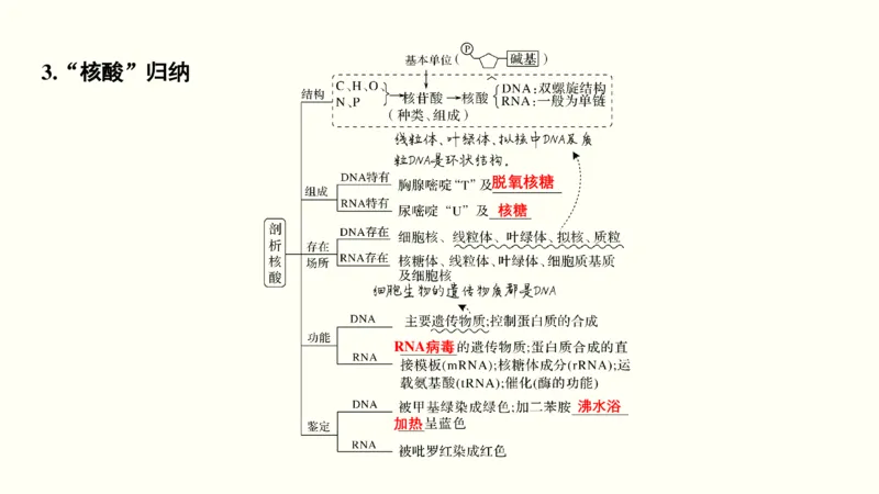 第一单元细胞的组成与结构（教案）_新高考复习资料_2022年新高考复习资料_2022届一轮复习讲练结合7.13更新_系列一_第一单元细胞的组成与结构