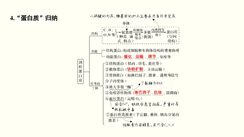第一单元细胞的组成与结构（教案）_新高考复习资料_2022年新高考复习资料_2022届一轮复习讲练结合7.13更新_系列一_第一单元细胞的组成与结构