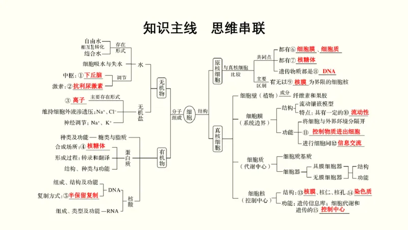 第一单元细胞的组成与结构（教案）_新高考复习资料_2022年新高考复习资料_2022届一轮复习讲练结合7.13更新_系列一_第一单元细胞的组成与结构
