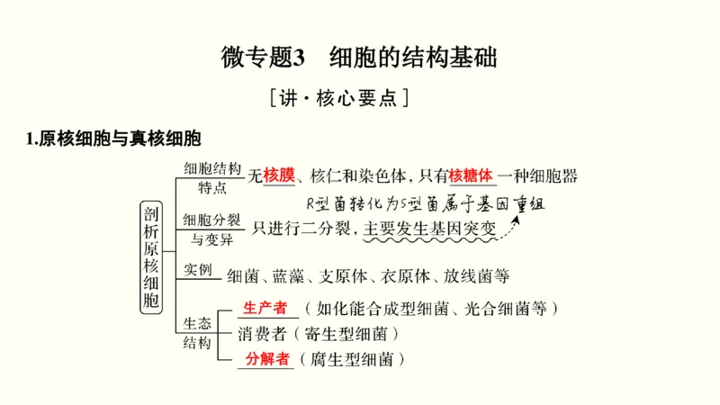 第一单元细胞的组成与结构（教案）_新高考复习资料_2022年新高考复习资料_2022届一轮复习讲练结合7.13更新_系列一_第一单元细胞的组成与结构