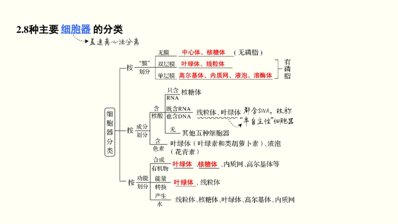 第一单元细胞的组成与结构（教案）_新高考复习资料_2022年新高考复习资料_2022届一轮复习讲练结合7.13更新_系列一_第一单元细胞的组成与结构