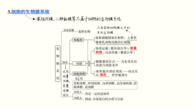 第一单元细胞的组成与结构（教案）_新高考复习资料_2022年新高考复习资料_2022届一轮复习讲练结合7.13更新_系列一_第一单元细胞的组成与结构