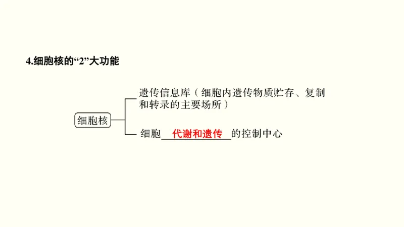第一单元细胞的组成与结构（教案）_新高考复习资料_2022年新高考复习资料_2022届一轮复习讲练结合7.13更新_系列一_第一单元细胞的组成与结构