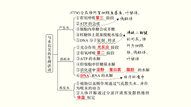 第一单元细胞的组成与结构（教案）_新高考复习资料_2022年新高考复习资料_2022届一轮复习讲练结合7.13更新_系列一_第一单元细胞的组成与结构