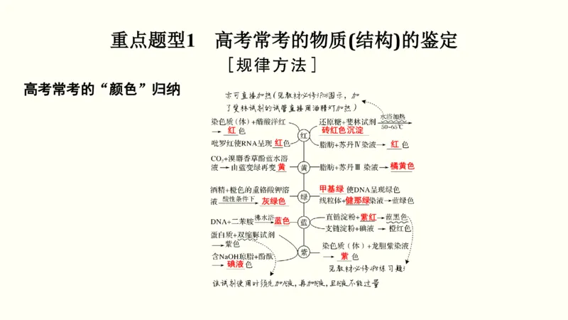 第一单元细胞的组成与结构（教案）_新高考复习资料_2022年新高考复习资料_2022届一轮复习讲练结合7.13更新_系列一_第一单元细胞的组成与结构