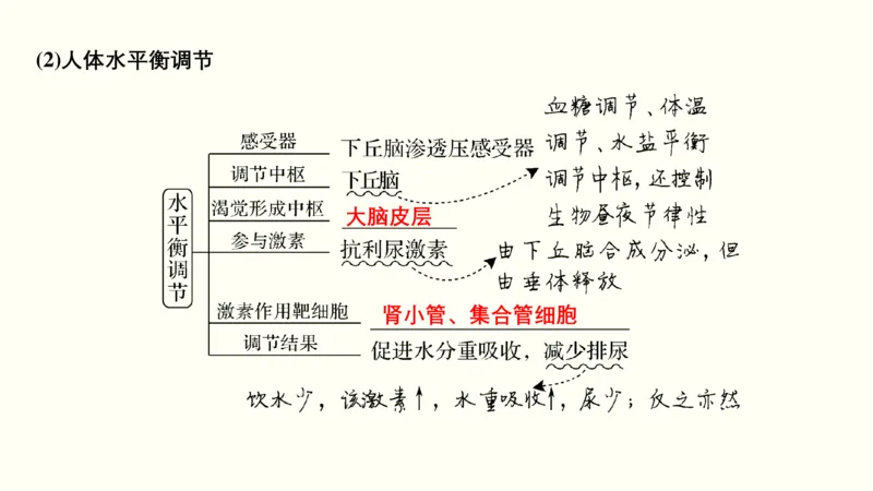 第一单元细胞的组成与结构（教案）_新高考复习资料_2022年新高考复习资料_2022届一轮复习讲练结合7.13更新_系列一_第一单元细胞的组成与结构