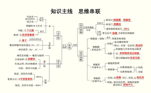第一单元细胞的组成与结构（教案）_新高考复习资料_2022年新高考复习资料_2022届一轮复习讲练结合7.13更新_系列一_第一单元细胞的组成与结构