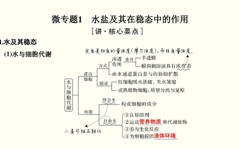 第一单元细胞的组成与结构（教案）_新高考复习资料_2022年新高考复习资料_2022届一轮复习讲练结合7.13更新_系列一_第一单元细胞的组成与结构