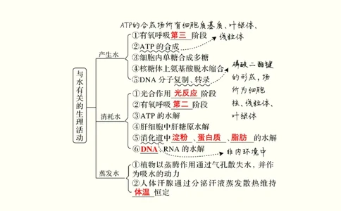 第一单元细胞的组成与结构（教案）_新高考复习资料_2022年新高考复习资料_2022届一轮复习讲练结合7.13更新_系列一_第一单元细胞的组成与结构
