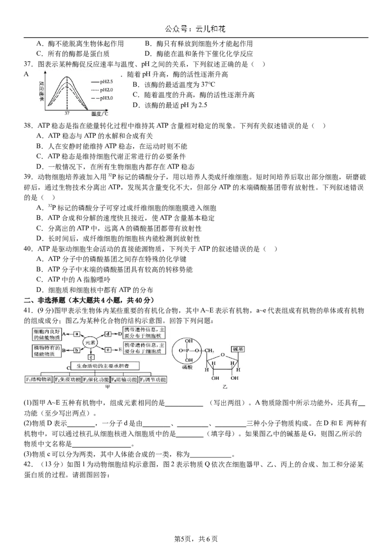 第二次月考生物试卷_2024年12月试卷_1211云南省玉溪市一中2024-2025学年高一上学期第二次月考_云南省玉溪市一中2024-2025学年高一上学期第二次月考生物试题Word版含答案
