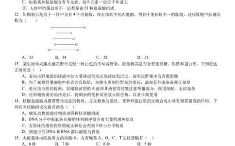 第二次月考生物试卷_2024年12月试卷_1211云南省玉溪市一中2024-2025学年高一上学期第二次月考_云南省玉溪市一中2024-2025学年高一上学期第二次月考生物试题Word版含答案