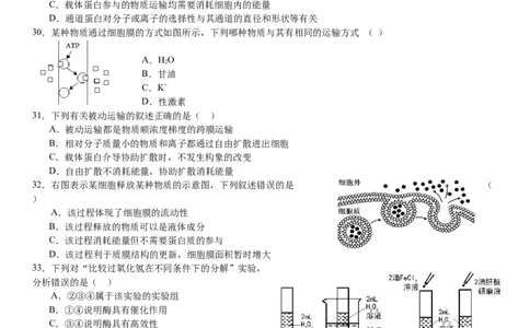 第二次月考生物试卷_2024年12月试卷_1211云南省玉溪市一中2024-2025学年高一上学期第二次月考_云南省玉溪市一中2024-2025学年高一上学期第二次月考生物试题Word版含答案