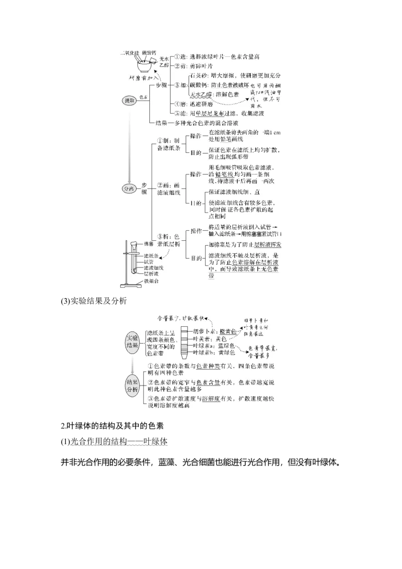 第9讲能量之源&mdash;&mdash;光与光合作用_通用版（老高考）复习资料_2023年复习资料_一轮复习_2023年高考生物一轮复习讲义+课件（全国版）_2023年高考生物一轮复习讲义（全国版）_赠补充习题