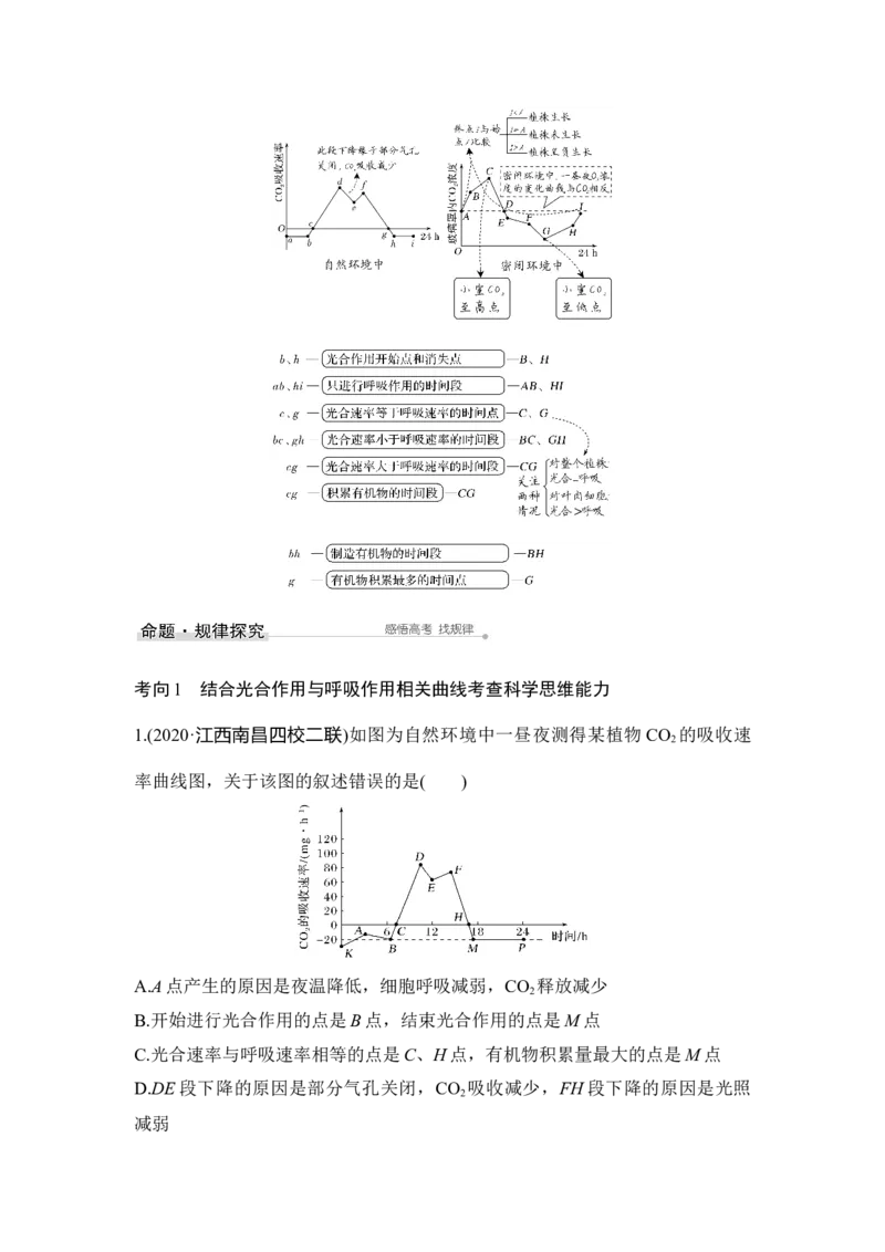 第9讲能量之源&mdash;&mdash;光与光合作用_通用版（老高考）复习资料_2023年复习资料_一轮复习_2023年高考生物一轮复习讲义+课件（全国版）_2023年高考生物一轮复习讲义（全国版）_赠补充习题