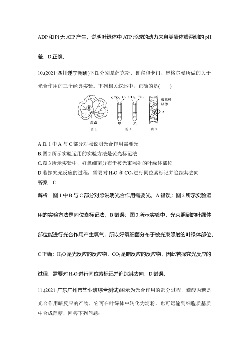 第9讲能量之源&mdash;&mdash;光与光合作用_通用版（老高考）复习资料_2023年复习资料_一轮复习_2023年高考生物一轮复习讲义+课件（全国版）_2023年高考生物一轮复习讲义（全国版）_赠补充习题